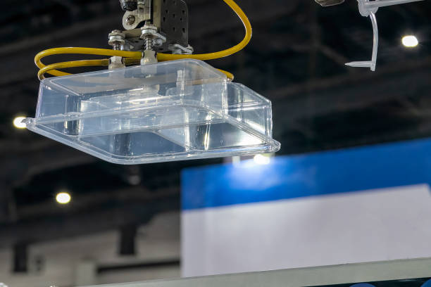 istockphoto 1490667242 612x612